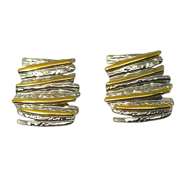 Σκουλαρίκια ατσάλι  μακρόστενα διχρωμία